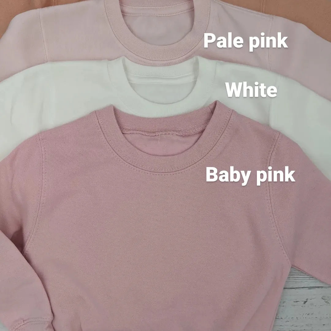 Girl's Sweatshirt or tshirt or Sweatshirt with Cute Dinosaur - Embroidery