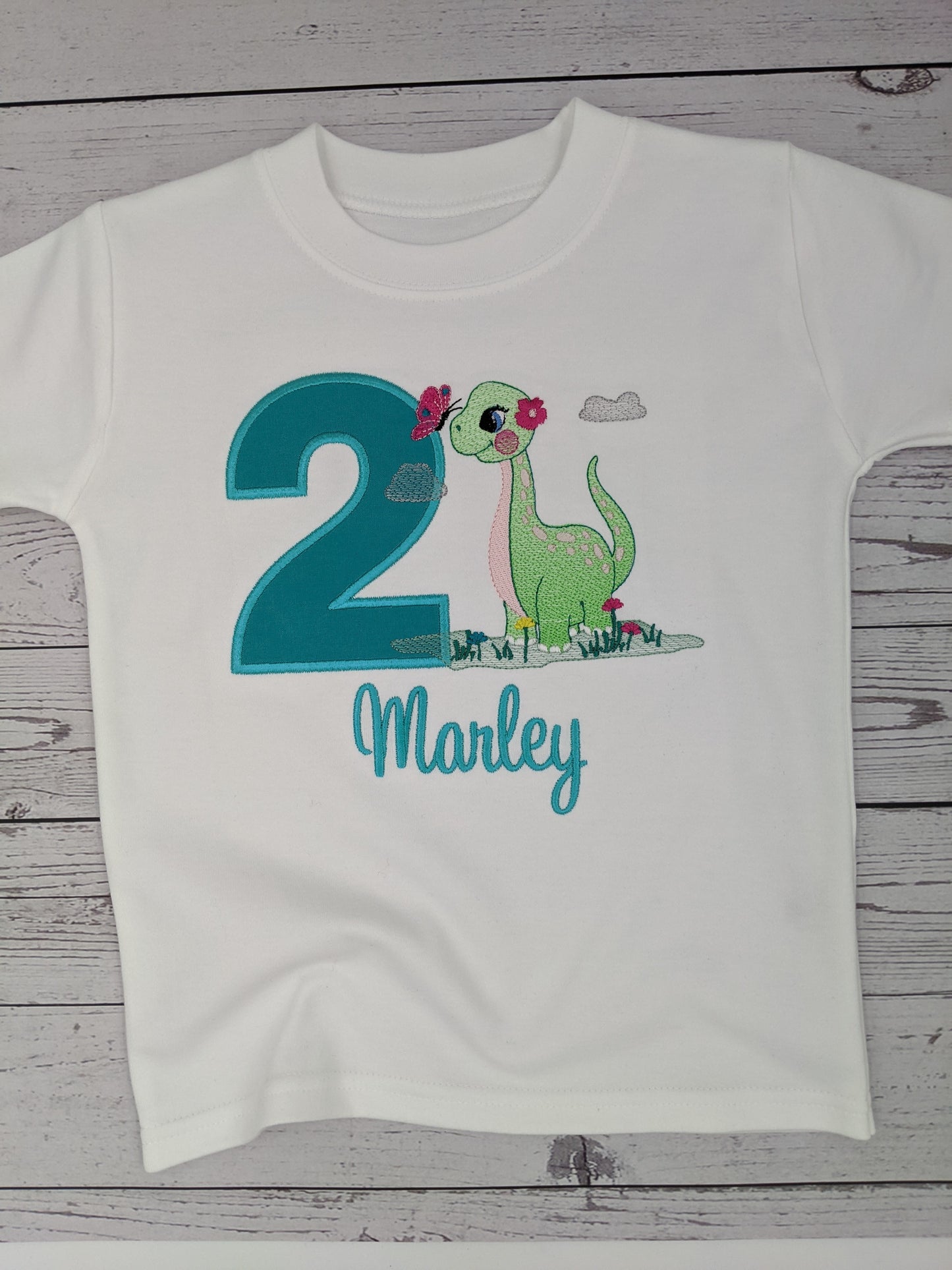 Girl's Sweatshirt or tshirt or Sweatshirt with Cute Dinosaur - Embroidery