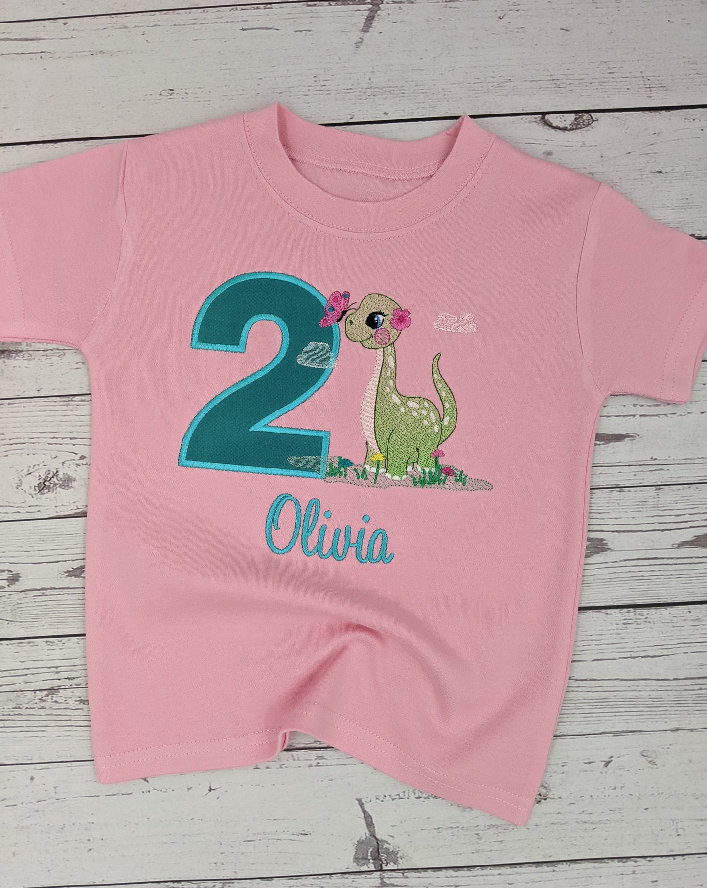 Girl's Sweatshirt or tshirt  or Sweatshirt with Cute Dinosaur  - Embroidery