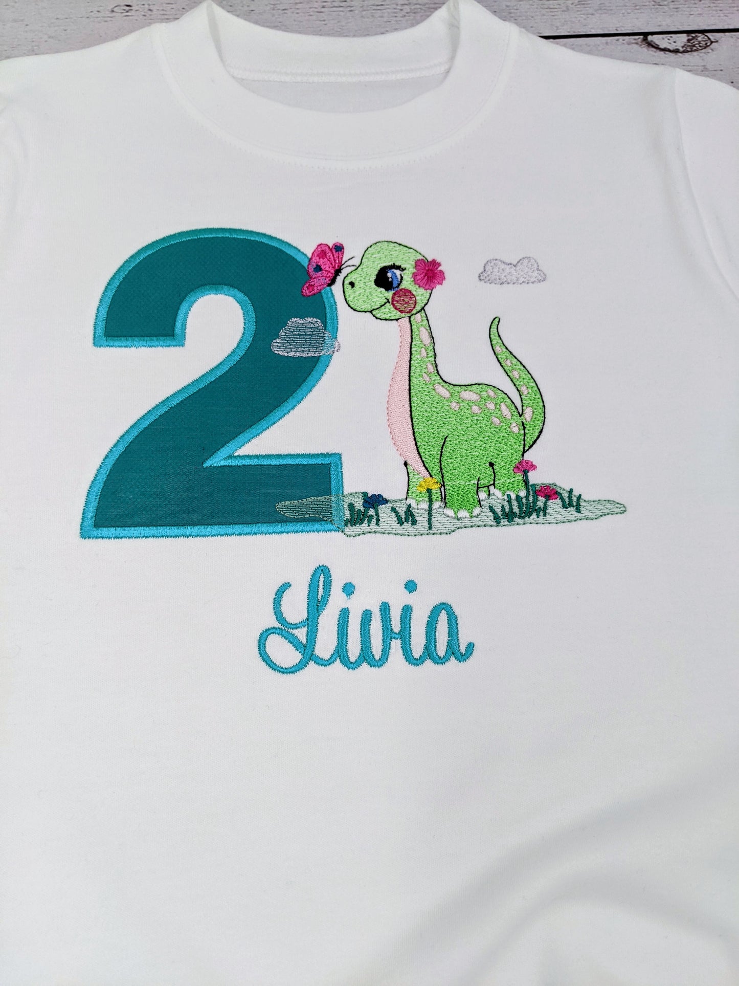 Girl's Sweatshirt or tshirt  or Sweatshirt with Cute Dinosaur  - Embroidery