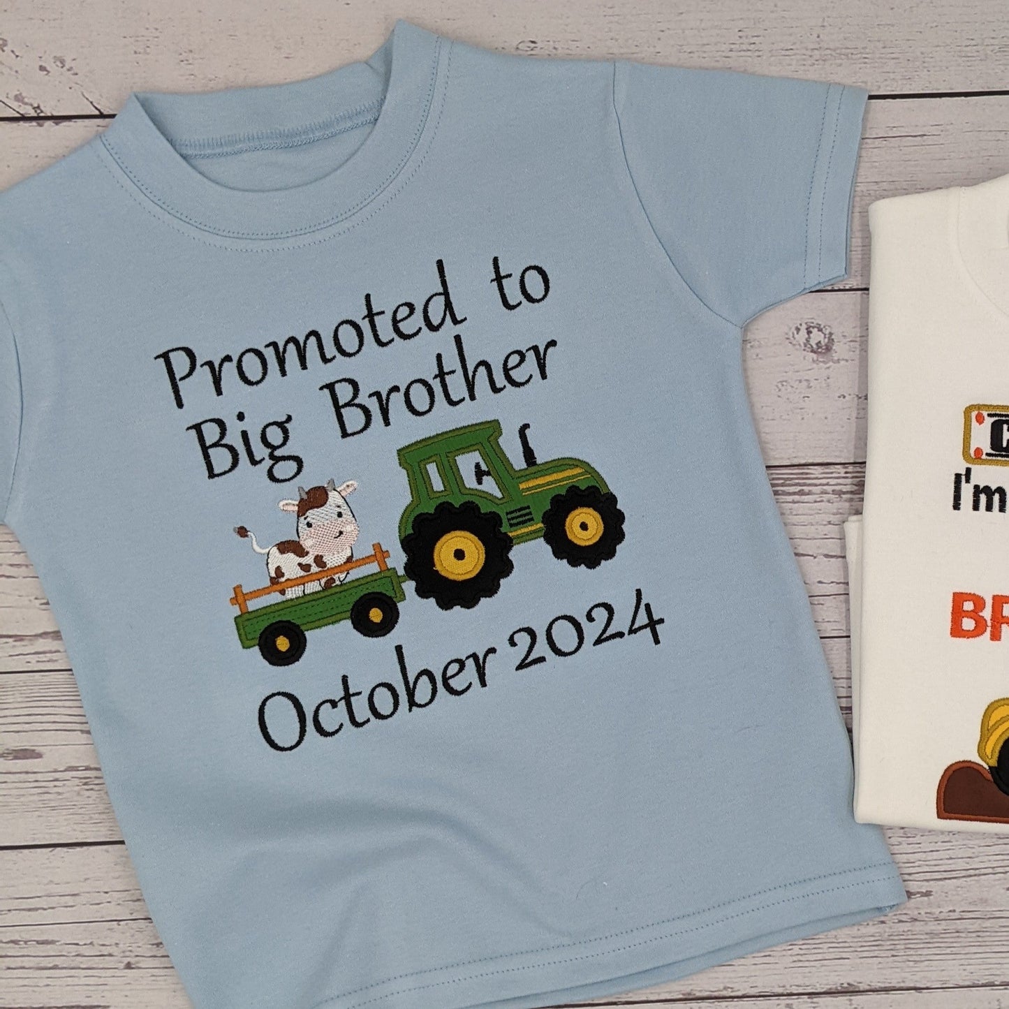 Promoted to Big Brother - Siblings Shirt - Embroidery