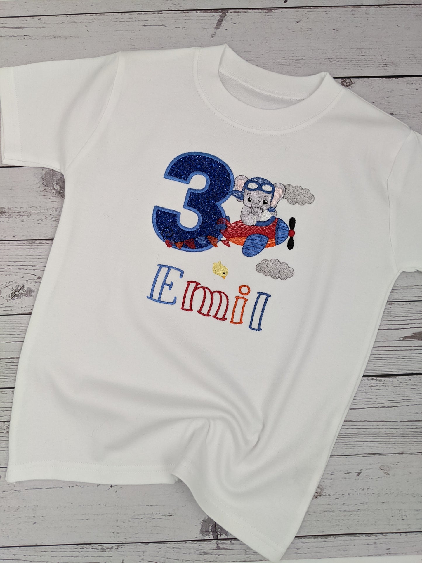 Personalised Birthday Tshirt Elephant and Plane   - Embroidery