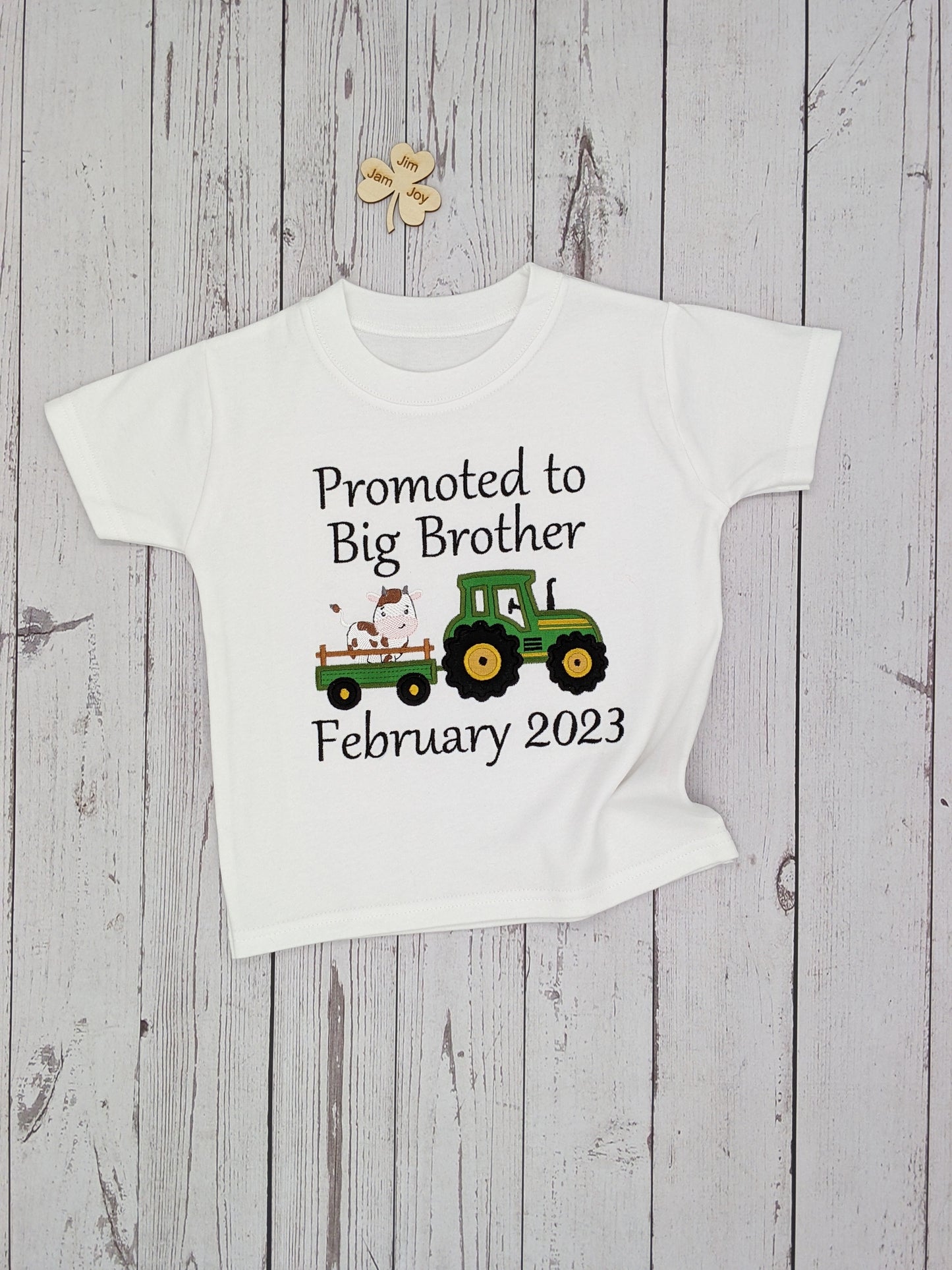 Promoted to Big Brother - Siblings Shirt - Embroidery