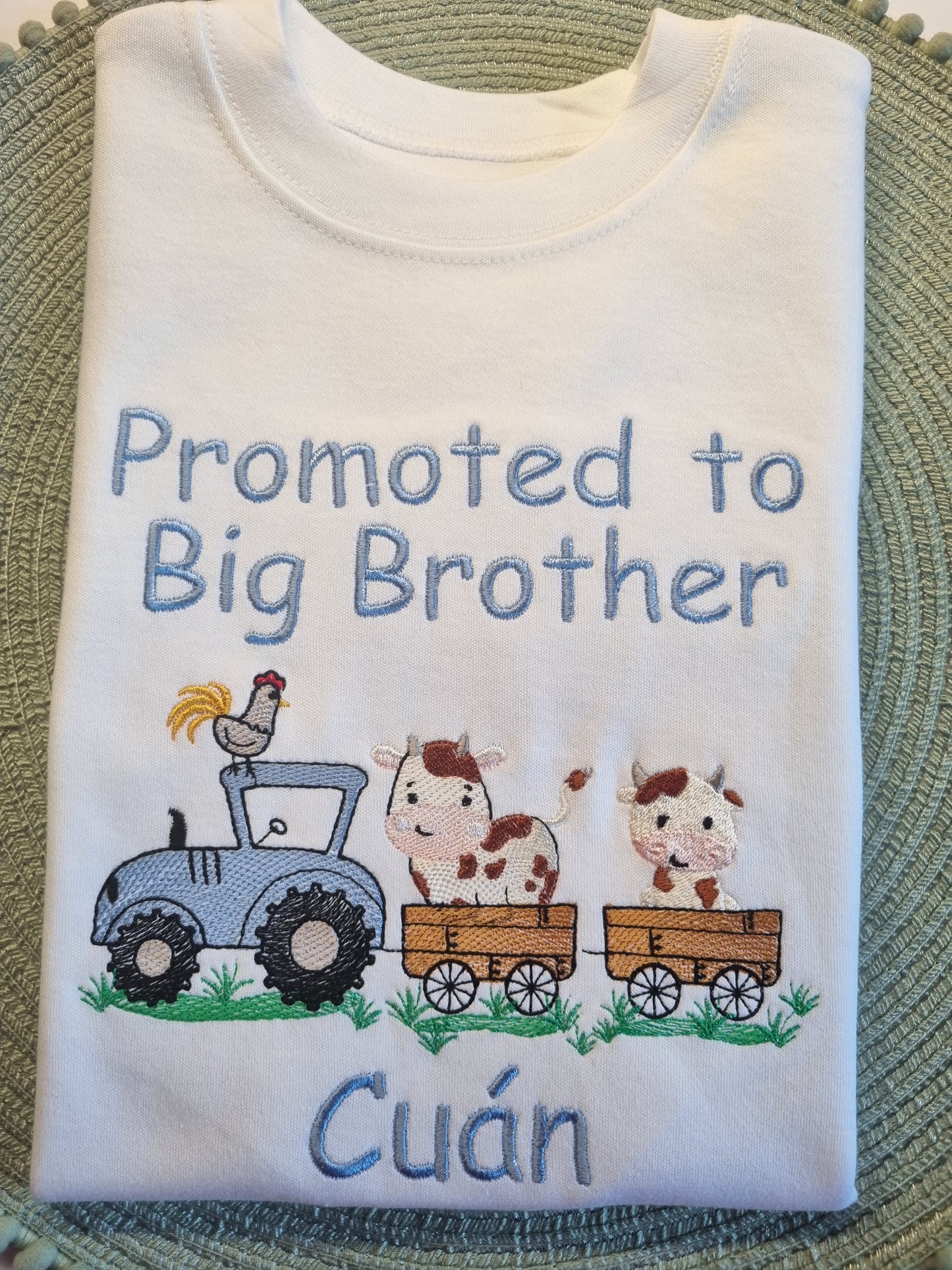 Promoted to Big Brother - Siblings Shirt - Embroidery
