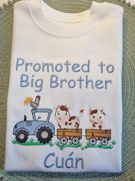 Promoted to Big Brother - Siblings Shirt - Embroidery