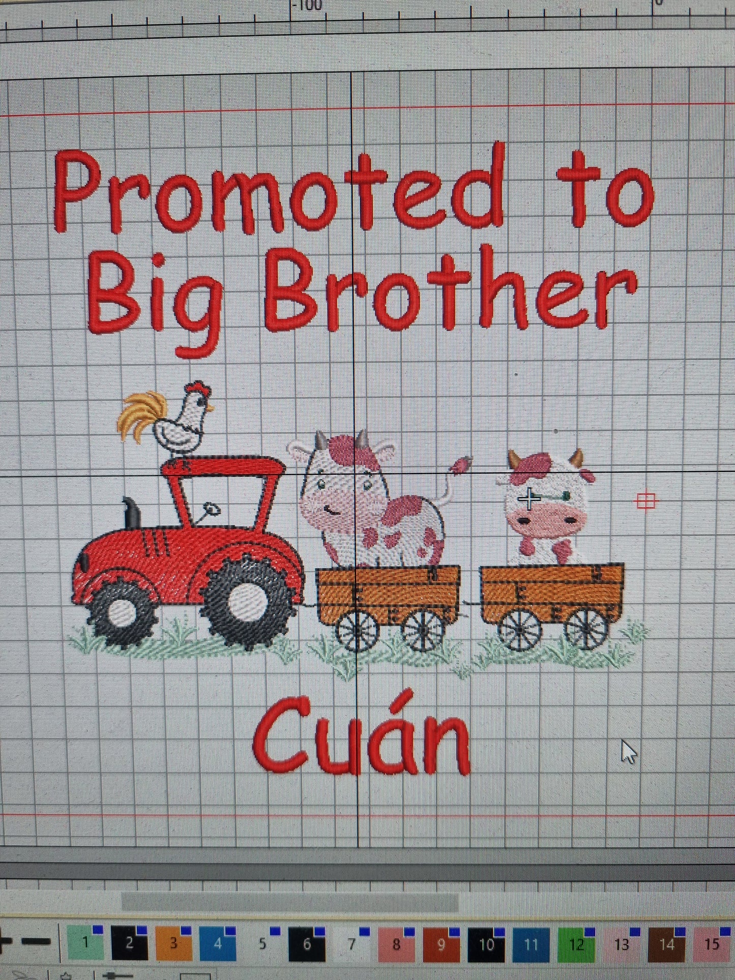 Promoted to Big Brother - Siblings Shirt - Embroidery